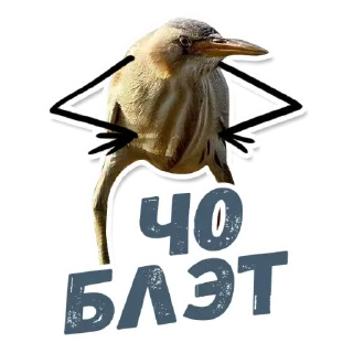 Sticker from 🙈Are you sure? @stickersb2b