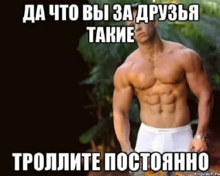 Sticker from мои любимые мемы