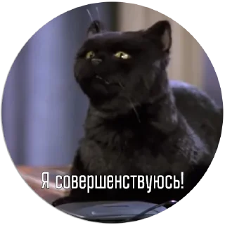 Sticker from Салем | @Egor418