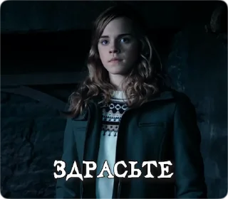 Sticker from Potter Memes | Гарри Поттер