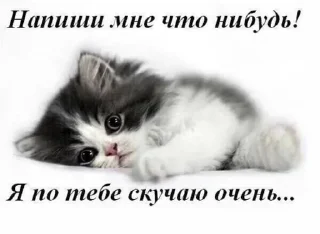 😞 emoji 💕 Стики тут: @Stickersloving Telegram sticker 15 of 110