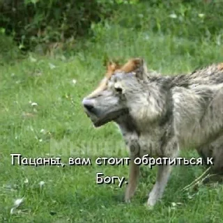 Sticker from нейросетевая философия