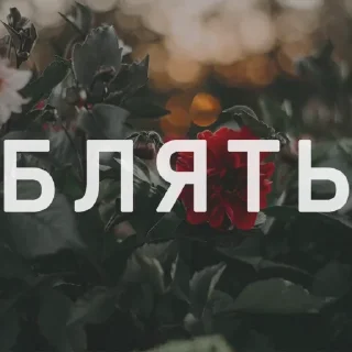Sticker from Вайсманяткин вайб