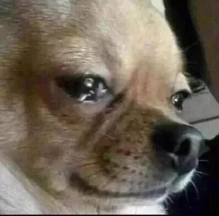 😢 emoji badassanimals Telegram sticker 8 of 38