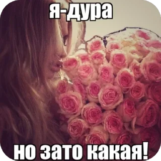 🫥 emoji анюта баунти Telegram sticker 7 of 22