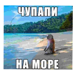 🖼 emoji пидорас Telegram sticker 10 of 53