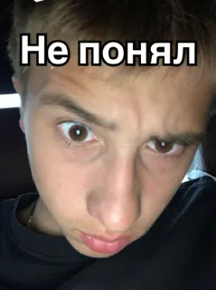 Sticker from Тишка🫡