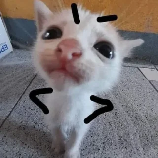 Sticker from котейки