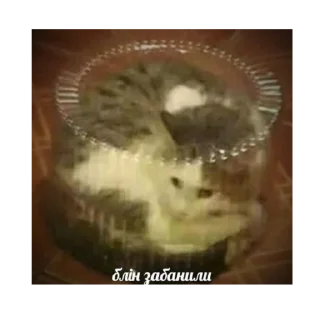 Sticker from имба