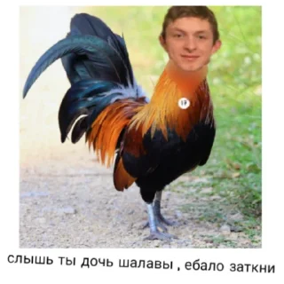 🍔 emoji Мага тапок Telegram sticker 5 of 30