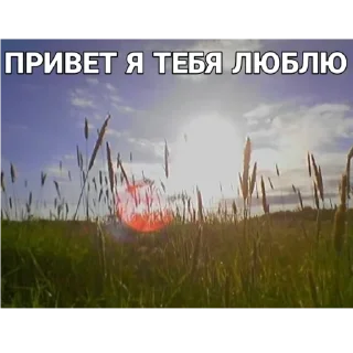Sticker from щитпост
