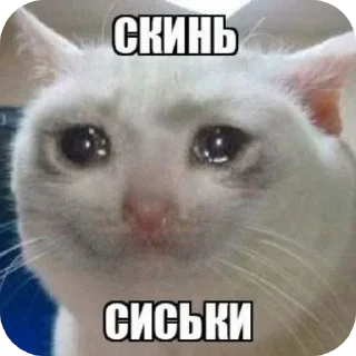 Sticker from Олегов Щитпост [@WeberOleg]