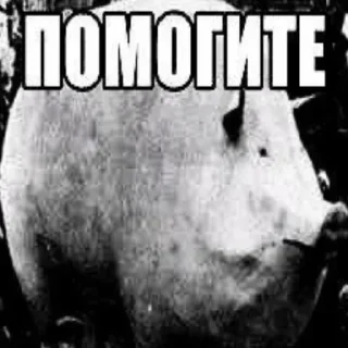 🙏 emoji Май хонест реактион 2 @HONESTREACTION69 Telegram sticker 21 of 120