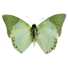 🦋 emoji Coquette oldmoney club ❣️ 1080*1920 Telegram sticker 22 of 139