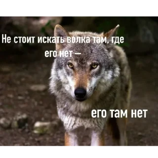 ❌ emoji Волк Telegram sticker 5 of 60