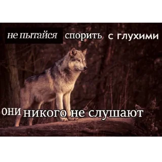 👂 emoji Волк Telegram sticker 17 of 60