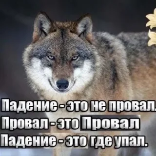 😔 emoji Волк Telegram sticker 11 of 60