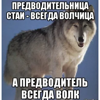👆 emoji Волк Telegram sticker 23 of 60