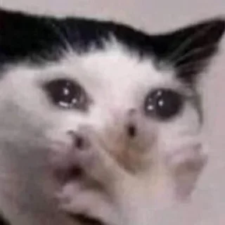 😢 emoji Меф Telegram sticker 11 of 39