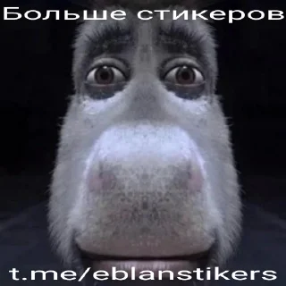 Sticker from Папка "Єгипет 2010"