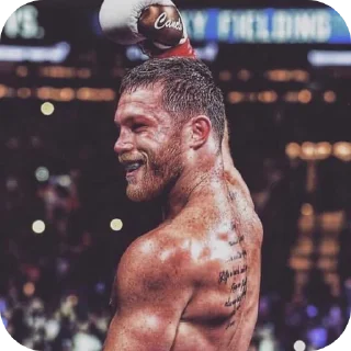 💪 emoji Boxing @Stikerhi_bot Telegram sticker 20 of 26