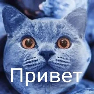 👋 emoji агро бобик богиня Telegram sticker 6 of 120