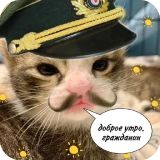 Sticker from Руны и свастики