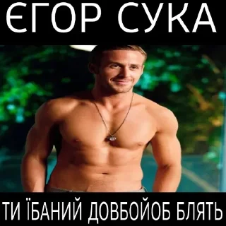 🏳️‍🌈 emoji EGOR за що ти ненавидиш ЛГБТ? Telegram sticker 6 of 14