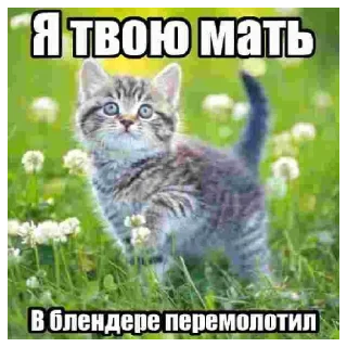 Sticker from Ваша Няша Умерла