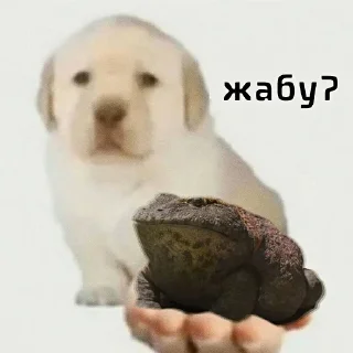 Sticker from ДЭДОВЫ НАКЛЕЙКИ
