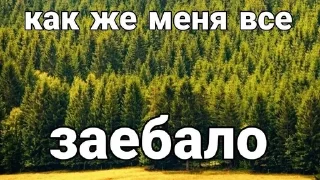 🌟 emoji Письки писечки пиписьки Telegram sticker 3 of 16