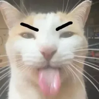 🌟 emoji Письки писечки пиписьки Telegram sticker 8 of 16