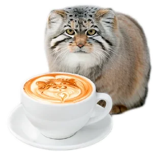 ☕️ emoji Everyday Manul @animalplantspb Telegram sticker 22 of 35