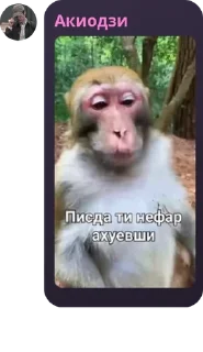 👩‍🤝‍👨 emoji Жоски бротаны сегма огайа тайл pack by @QuotLyBot Telegram sticker 3 of 118