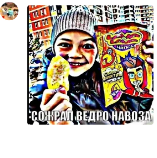 🤮 emoji Жоски бротаны сегма огайа тайл pack by @QuotLyBot Telegram sticker 1 of 118