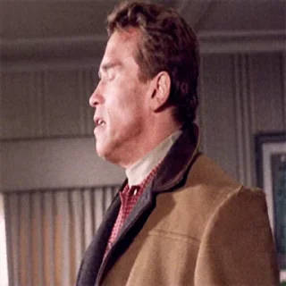 😳 emoji @stickerstgrm Schwarzenegger Telegram sticker 9 of 30