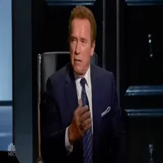 🤦 emoji @stickerstgrm Schwarzenegger Telegram sticker 12 of 30