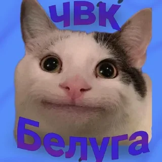 😉 emoji Белуга @inoynelm ➡️ @Ctikerubot Telegram sticker 5 of 5