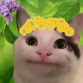 😁 emoji Белуга @inoynelm ➡️ @Ctikerubot Telegram sticker 1 of 5