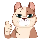 Sticker from Memes With Cats🐈 @StickerPak