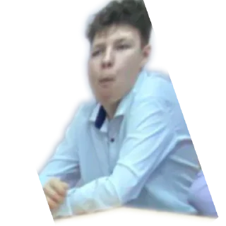✋ emoji ХУЙ СЛОНА Telegram sticker 17 of 29