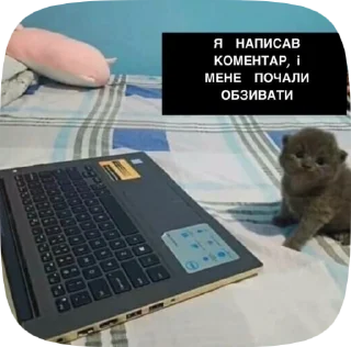 🥺 emoji ассемблерок)) Telegram sticker 5 of 50