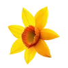 🤩 emoji @whatsupbro69 & frutiger aero @TgEmojis_bot Telegram sticker 11 of 83