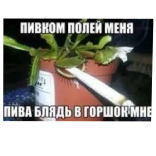 Sticker from Чел
