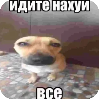 Sticker from ПРОСТО ЕБЕЙШИЙ СТИКЕ ПАК