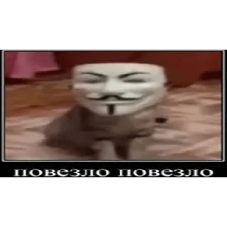 Sticker from Сборка для шизиков