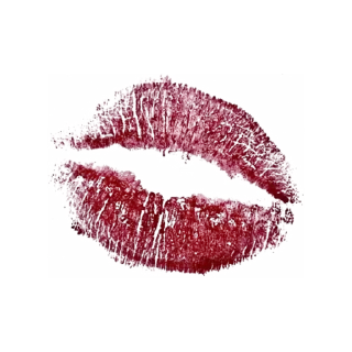 💋 emoji Ты даун😍 ➡️ @Ctikerubot Telegram sticker 24 of 92