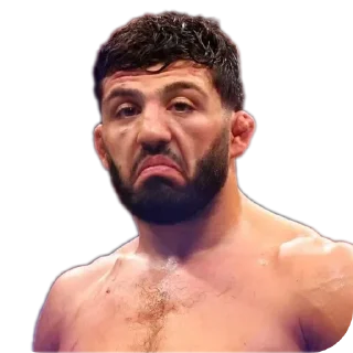 💇 emoji UFC Memes — @stckrRobot Telegram sticker 6 of 109