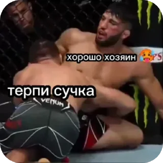 Sticker from Memes Fighting Championship — @stckrRobot