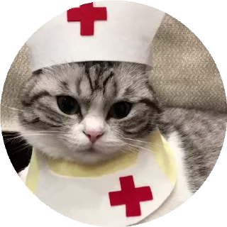 🚑 emoji Больше стиков тут: @stikery4 Telegram sticker 16 of 50